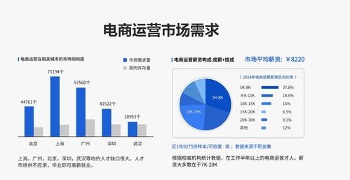 济南排名前十网站运营培训机构排行榜 电子商务的发展现状